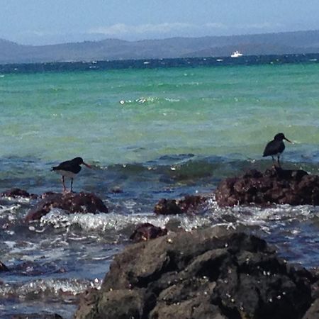 Convict Beach House Saltwater River Bagian luar foto