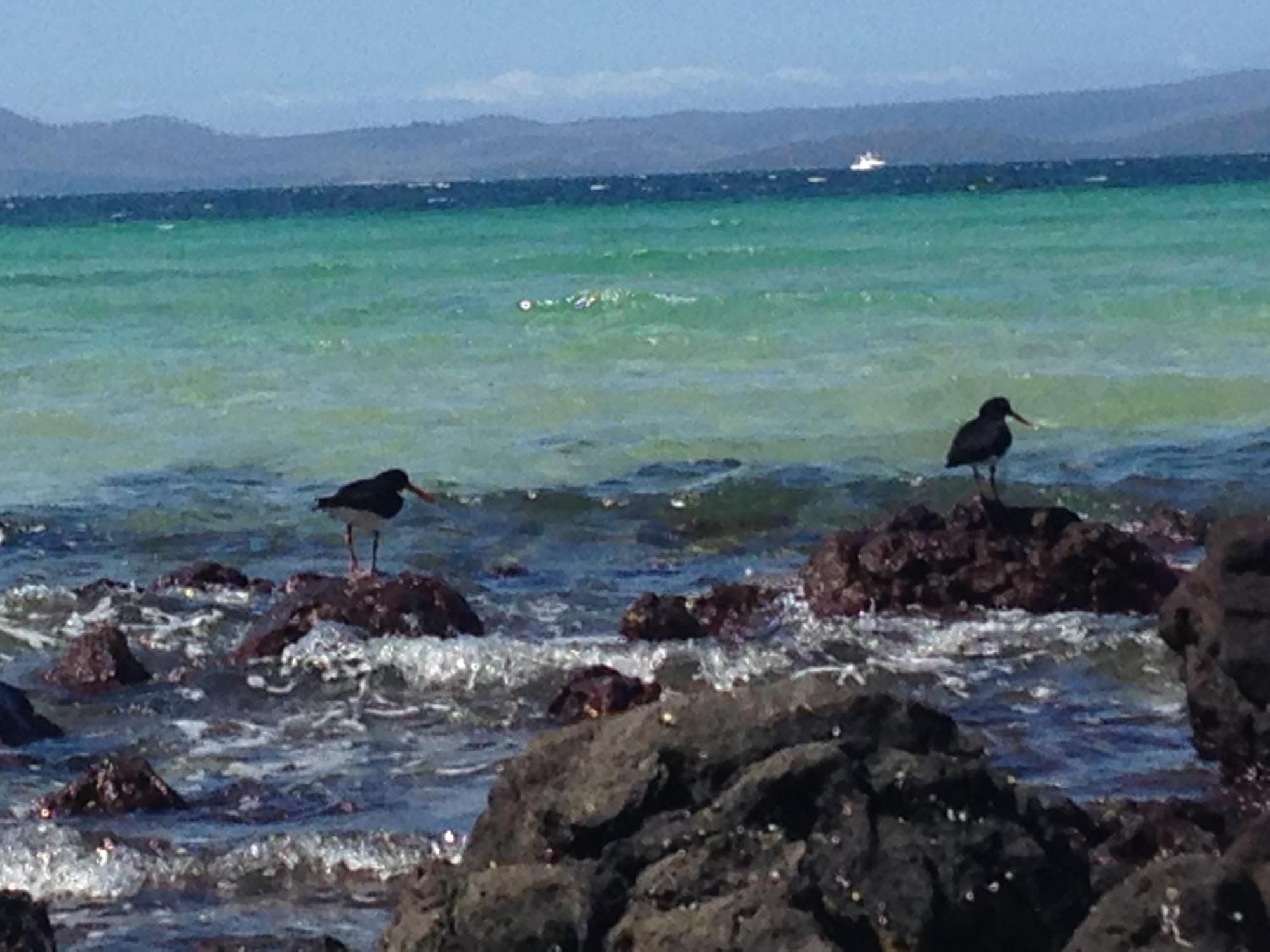 Convict Beach House Saltwater River Bagian luar foto